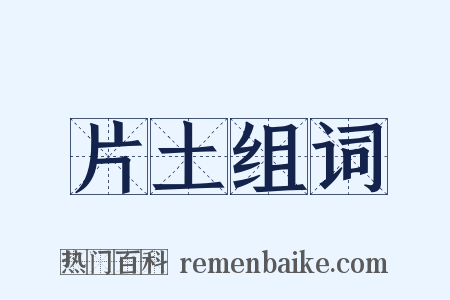 片土组词是什么意思的图片